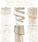 Christmas Ribbon Wired 2.5 Inch, 6 Rolls 36 Yards Glitter Champagne Gold Christmas Tree Ribbon Garland Ivory and Gold Wired Ribbon for Wreaths, Bows, Ribbon for Christmas Decor